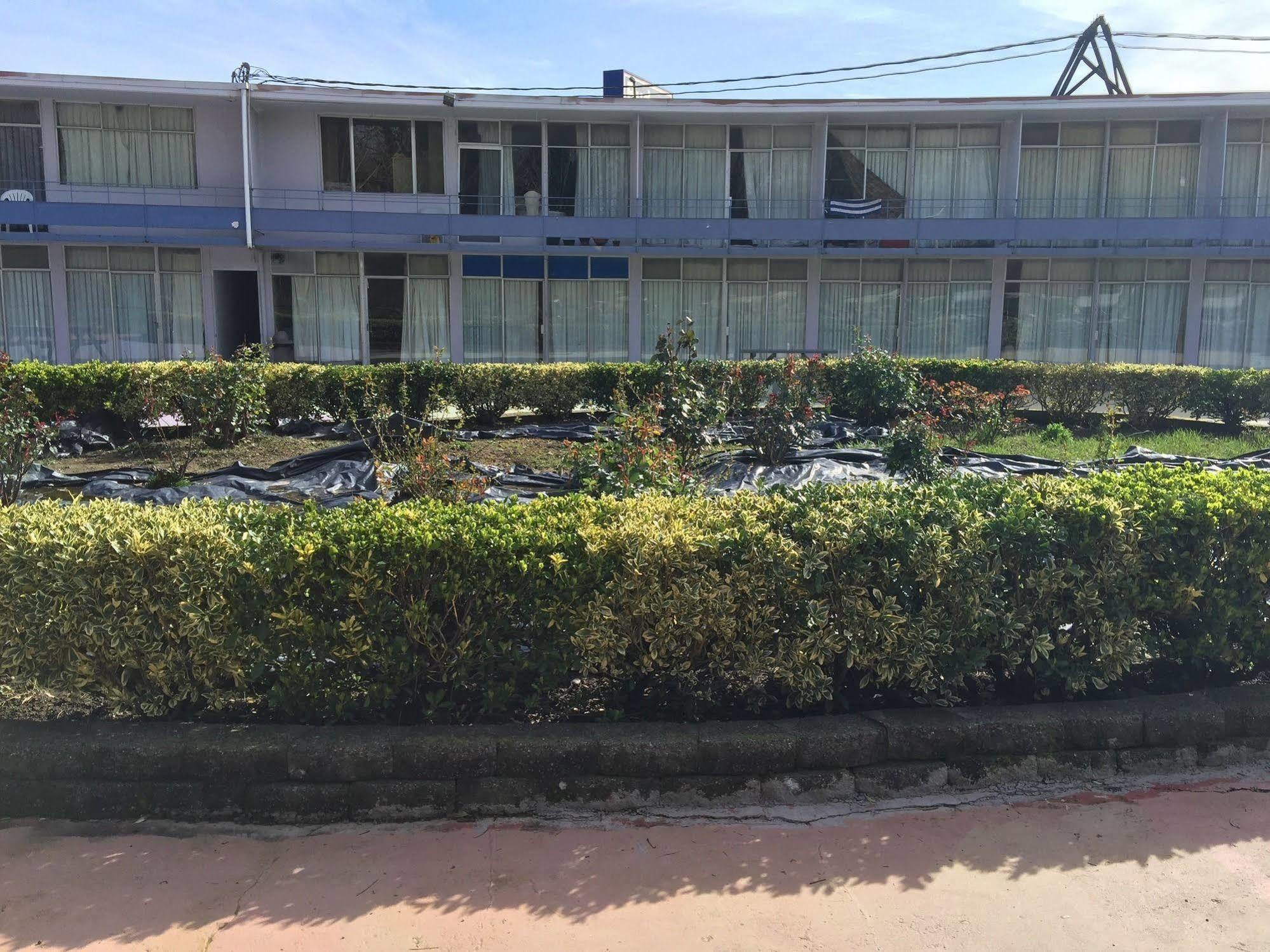 Budget Inn Albany Buitenkant foto